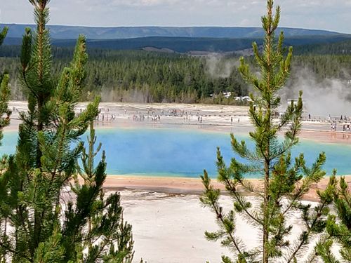 Free stock photo of grand prismatic spring Stock Photo