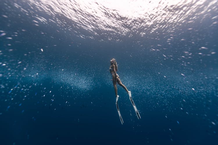 A Diver Wearing Flippers