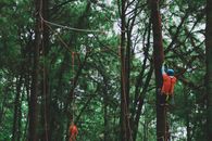 Person in Blue Jacket and Red Backpack Standing on Brown Tree Trunk