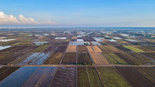 Darmowe zdjęcie z galerii z błękitne niebo, fotografia lotnicza, pole rolnicze