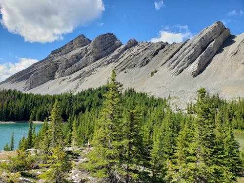 Kostnadsfri bild av berg, drönarbilder, fågelperspektiv