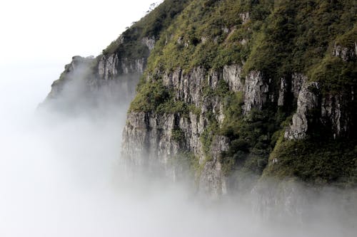 бесплатная Гора с туманом Стоковое фото