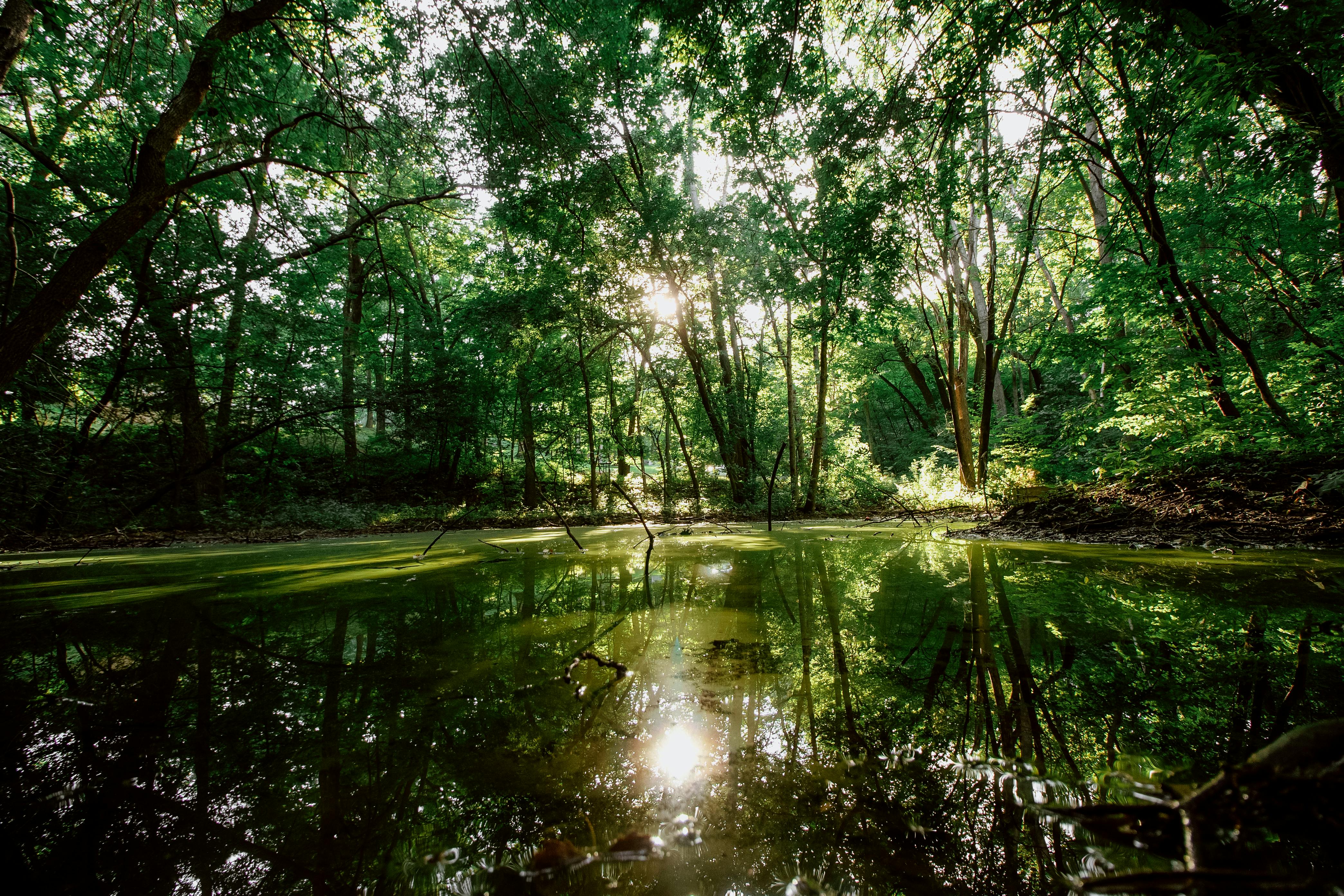 DuPage Forest Preserve executive director leaving for city manager job in Florida — Photo by Chris Flaten on Pexels