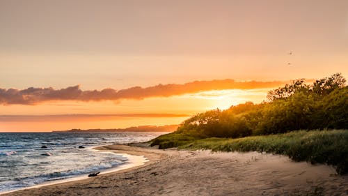 オレンジ色の空, カラフル, きらきらの無料の写真素材