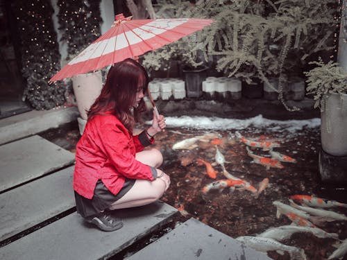 A Woman with an Umbrella Looking at the Koi Fish