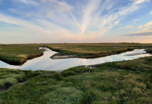 Darmowe zdjęcie z galerii z bagno, jezioro, krajobraz