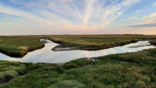 Salt marsh channel at sunset, photo by Dinah-Ann Lendzian on Pexels