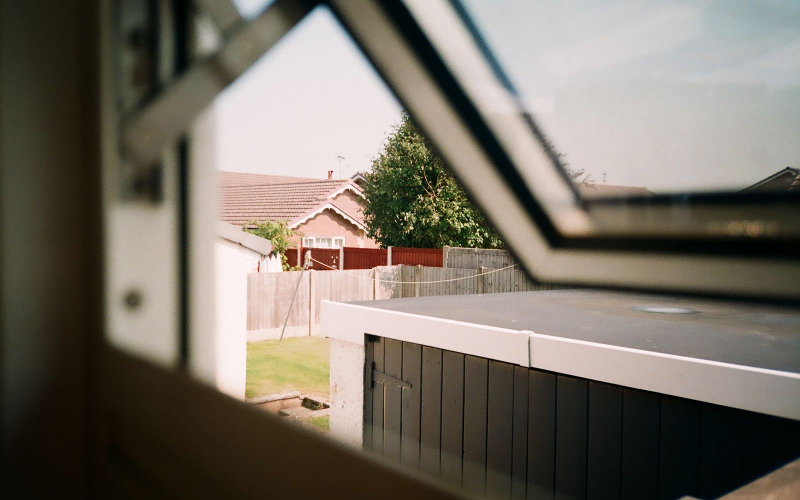 A quiet back garden seen through an open window
