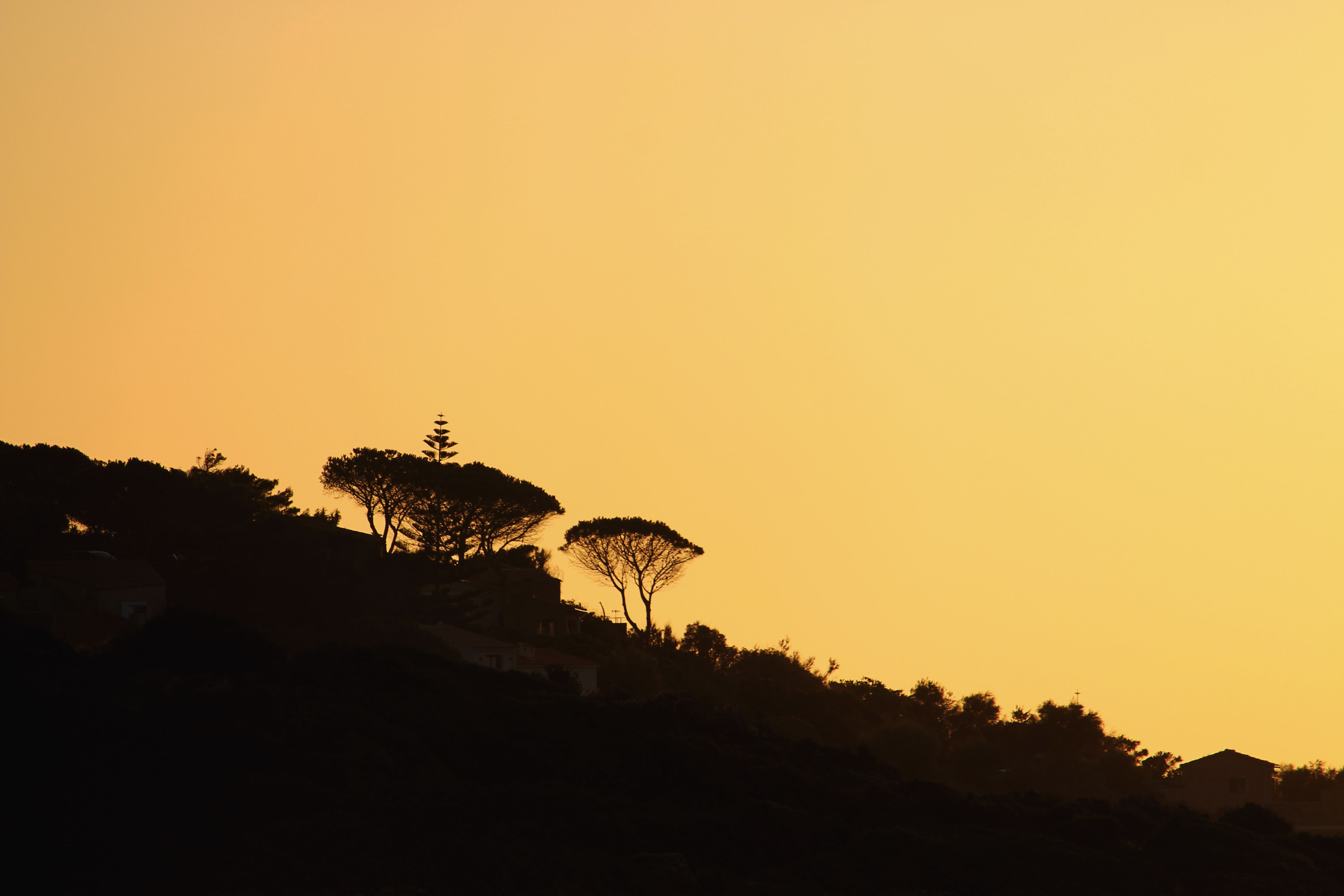 Slope of mountain with plants in sunset · Free Stock Photo