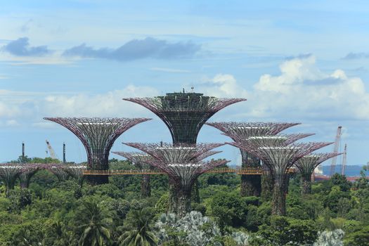 Gardens by the Bay private after-hours — Singapore
