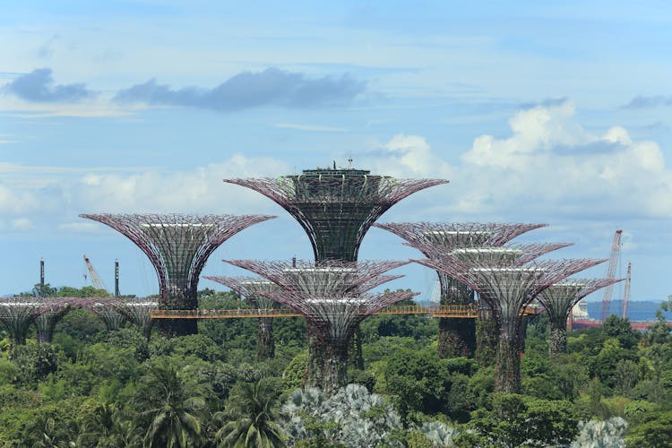 Singapore Botanic Garden Under The Sky