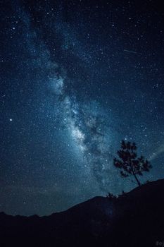 在晴朗的夜空下，树木和山脉的轮廓之上，矗立着雄伟的银河