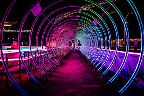 Free Purple and Pink Lights Tunnel in the Park Stock Photo