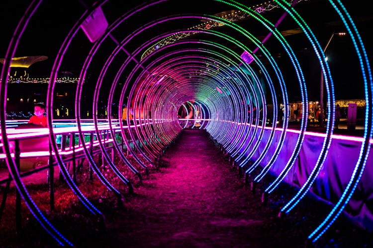 Purple And Pink Lights Tunnel In The Park