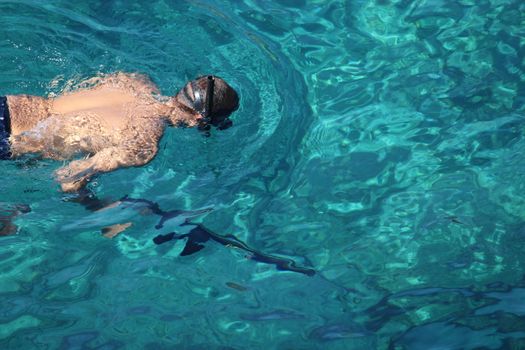 From above back view of anonymous male tourist swimming in diving goggles with head down in azure water in tropical lagoon