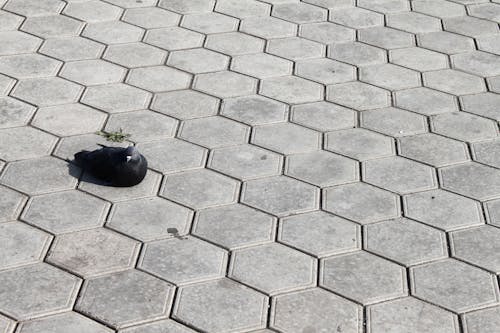 How to lay asphalt yourself?