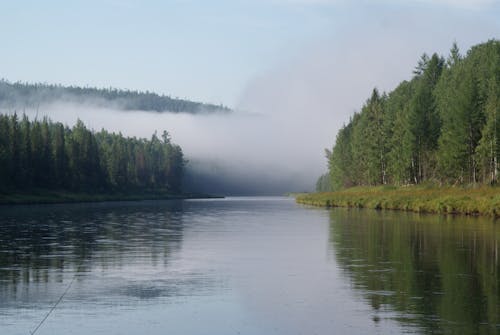 Základová fotografie zdarma na téma jezero, klidný, les