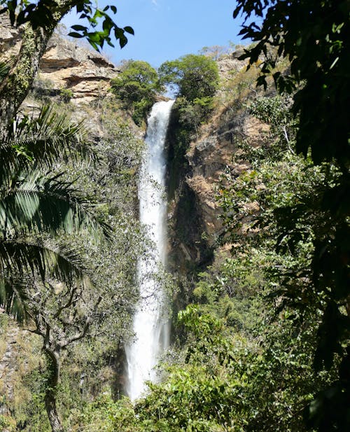 Waterfalls Near Green Trees Under Blue Sky