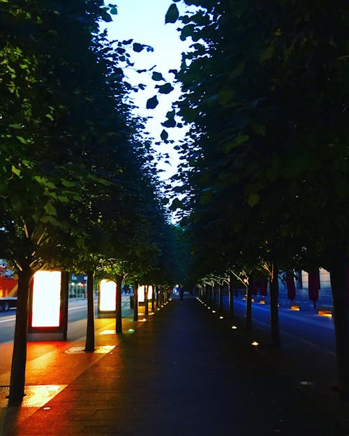 Free stock photo of newyork, nyc, sidewalk