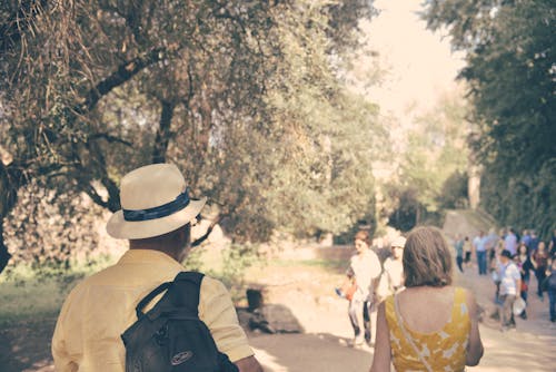 People Walking Around Park Near Trees
