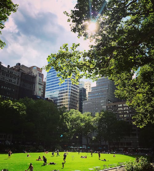 Imagine de stoc gratuită din bryantpark, Manhattan, midtown