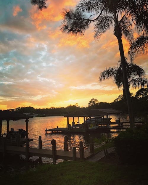 Florida, gün batımı, palmiyeler içeren Ücretsiz stok fotoğraf