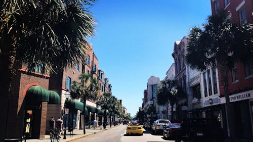 Free stock photo of charleston, southcarolina