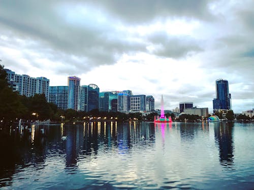 Lake near the Buildings in a City