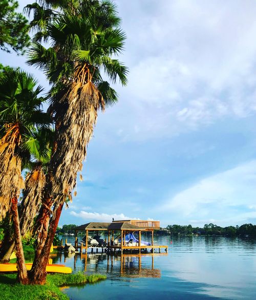 Free stock photo of florida, lake, palms Stock Photo