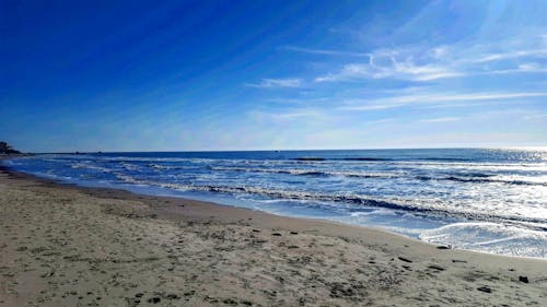 Free stock photo of charleston, morning, ocean