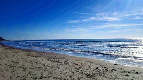 Free stock photo of charleston, morning, ocean Stock Photo