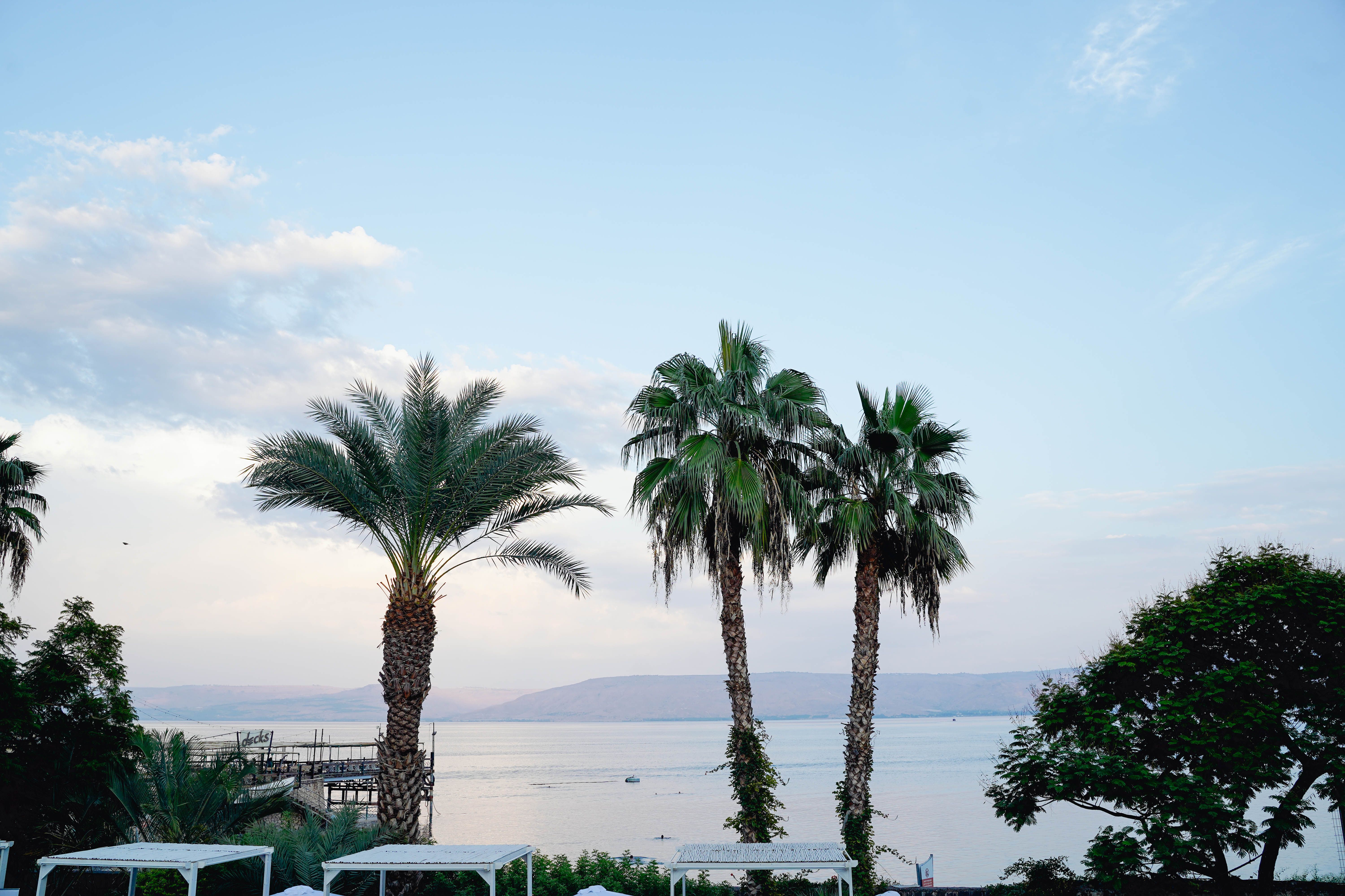 Tourists relaxing and floating in the mineral-rich waters of the Dead Sea in Jordan.