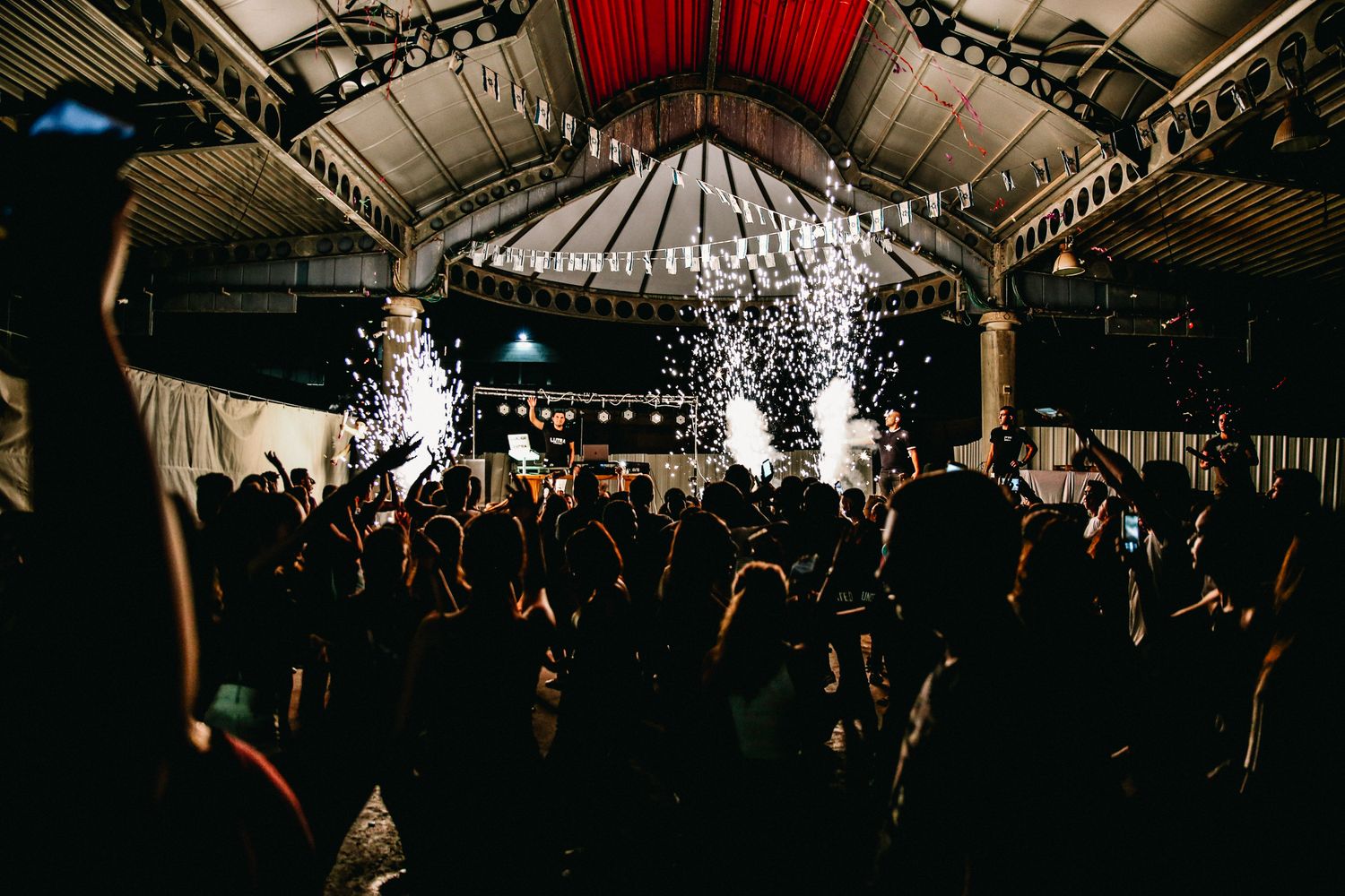 Excited crowd enjoying a live concert