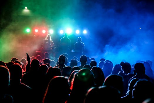 Silhouettes of a lively crowd enjoying a DJ's performance with colorful stage lights at night.