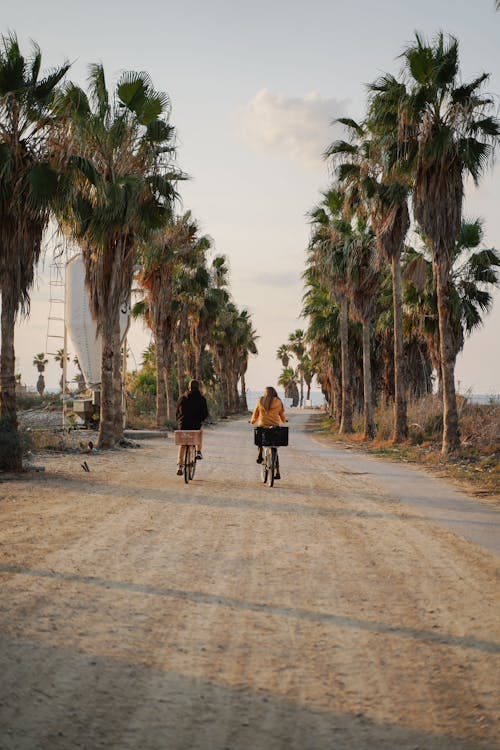Free People Riding Bikes on Dirt Road Between Palm Trees Stock Photo