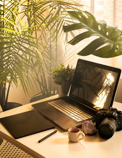 Computador Laptop Preto E Prata Ao Lado Da Câmera Dslr Preta Na Mesa De Madeira Marrom