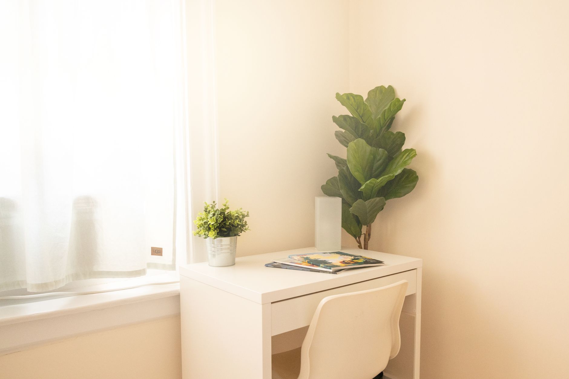 Minimal shelf with plants and magazines beside a bright wall, a calm base for an entry reset