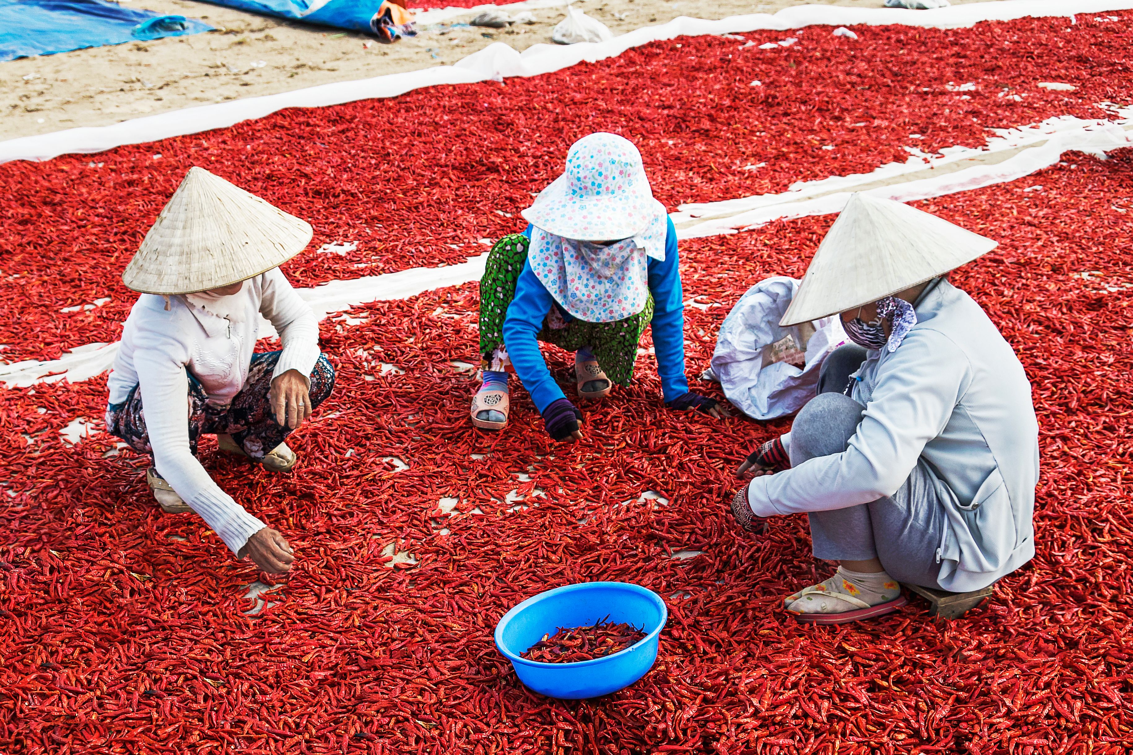 Peperoncino calabrese essiccato