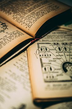 A close-up of vintage open books showing diagrams and text, evoking a retro literary feel.