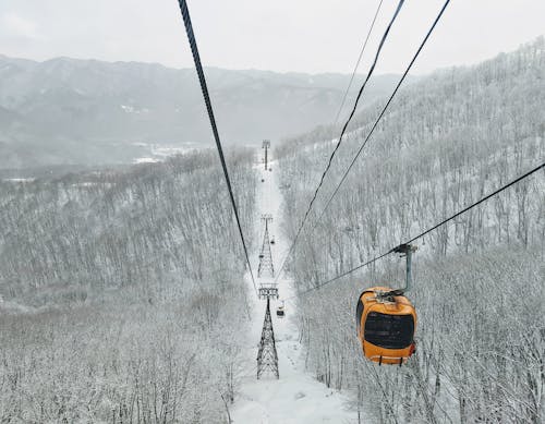 Cable Car over Forest in Winter