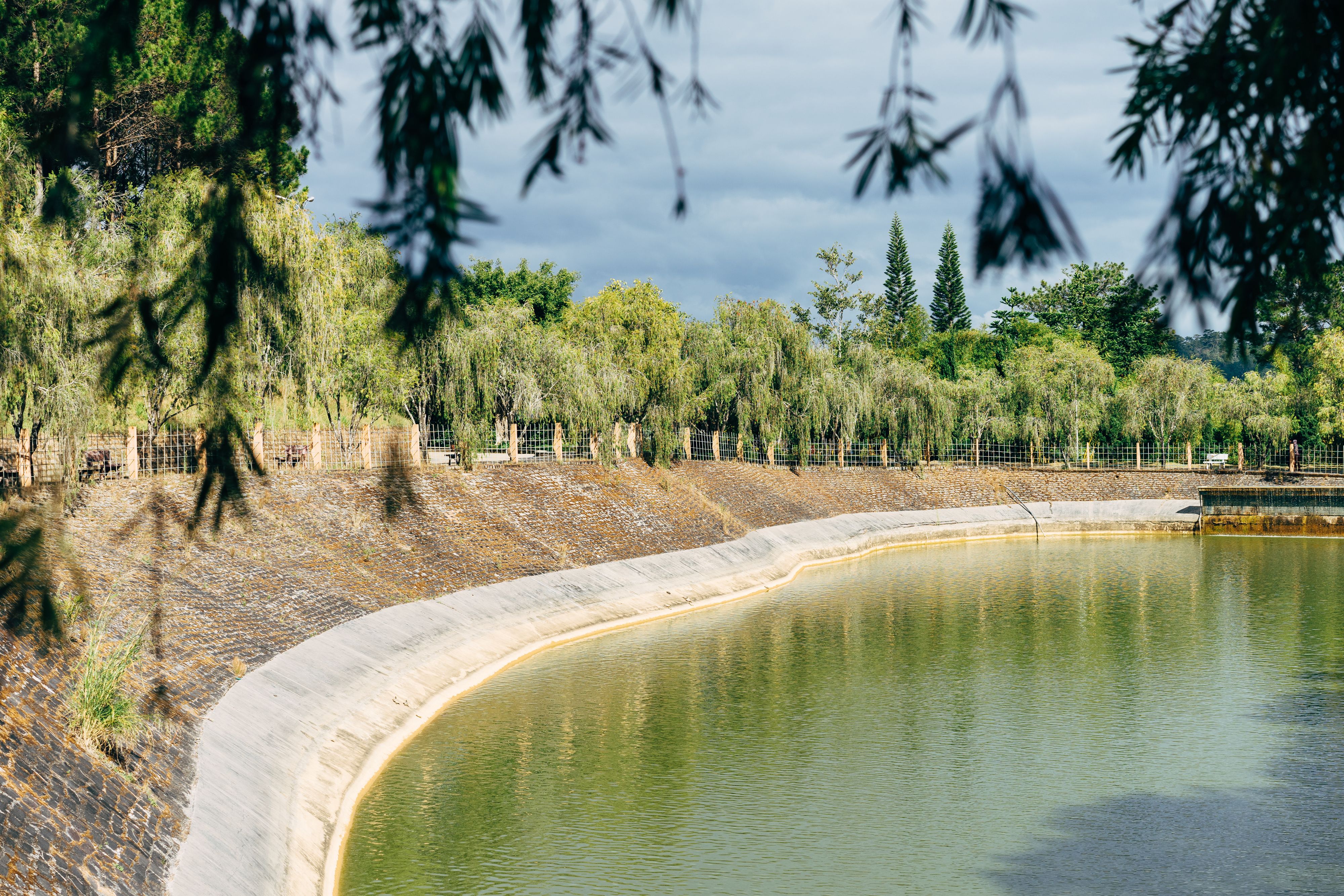 A tranquil pond surrounded by lush trees in Dalat, Vietnam, captures nature's beauty.
