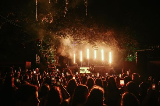 Energetic concert scene with a vibrant crowd enjoying live music under the night sky.