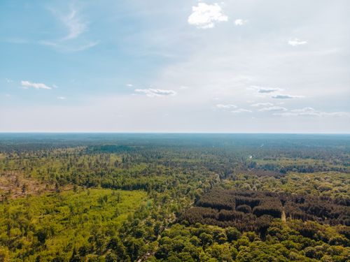 Free Breathtaking aerial view showcasing a lush green forest under a clear summer sky. Stock Photo