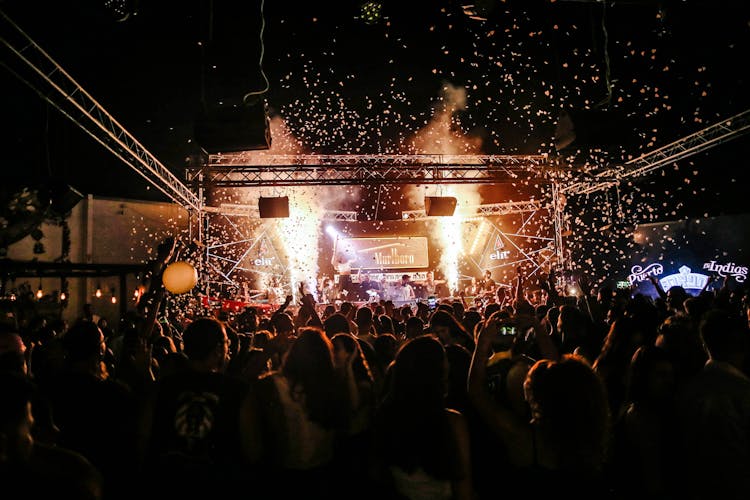 Crowd Of People At A Concert