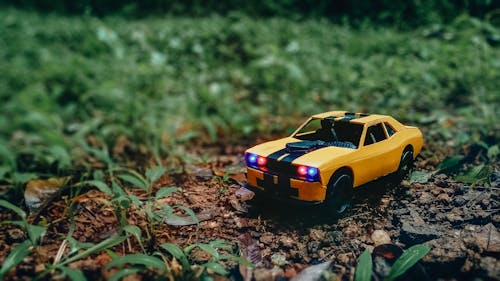 Free Toy Car on Grass Stock Photo
