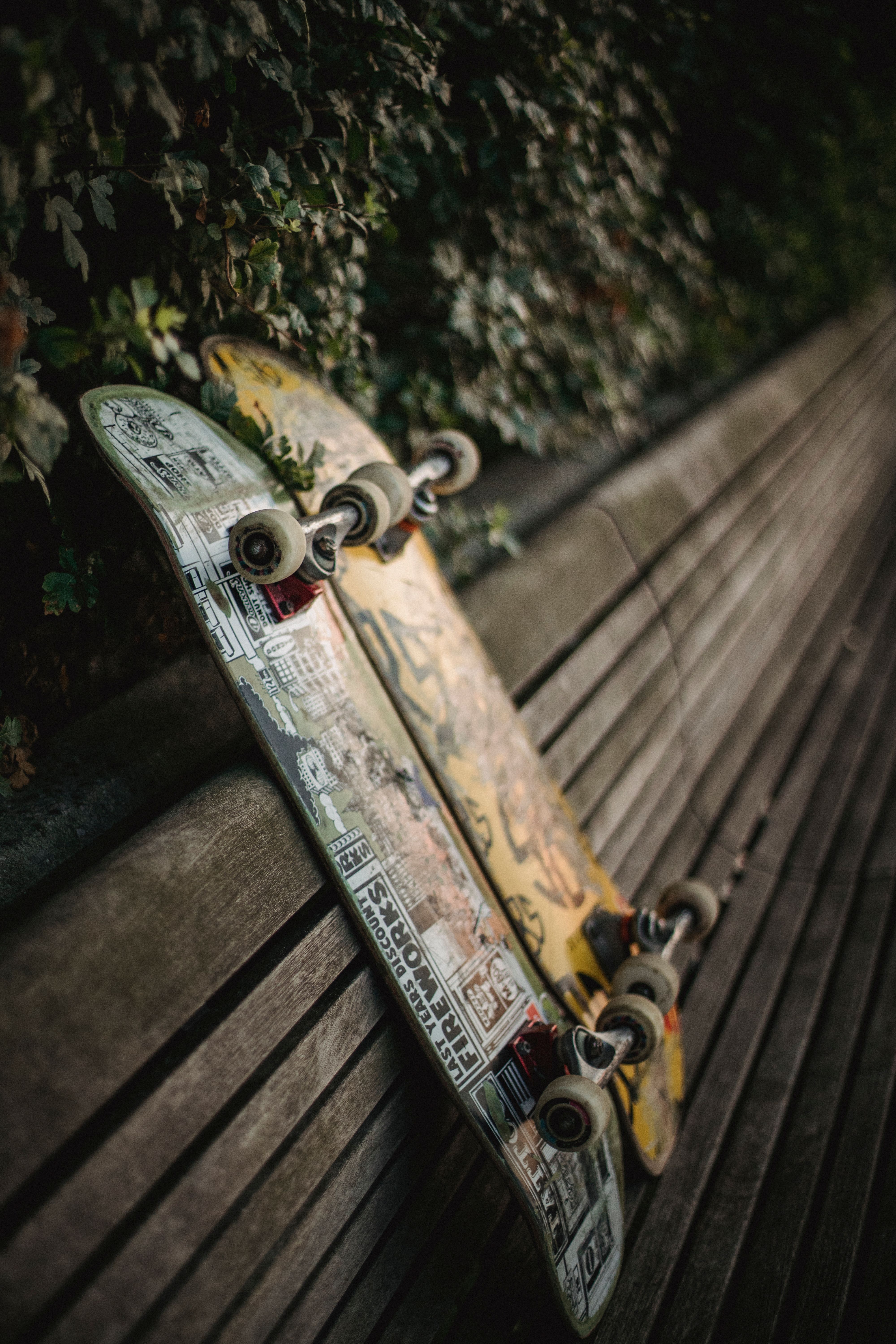 Skateboards placed on wooden bench in green park \u00b7 Free Stock Photo