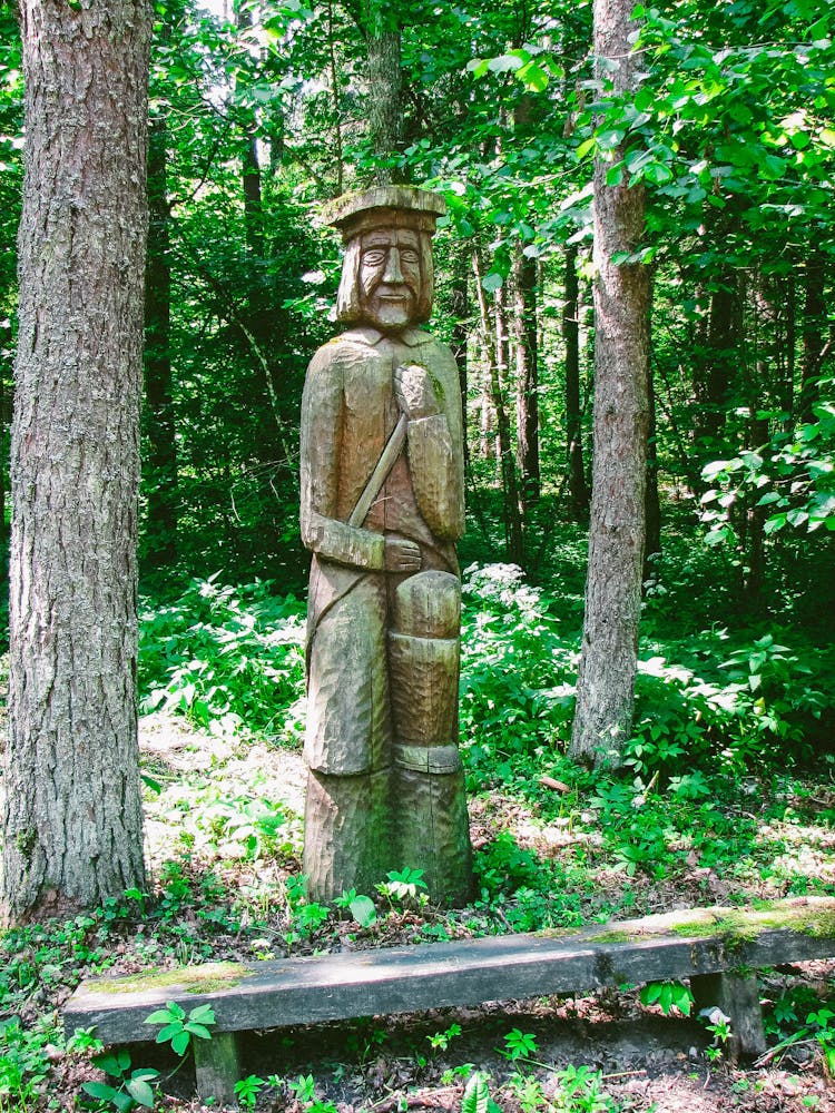 Pagan Statue In Forest