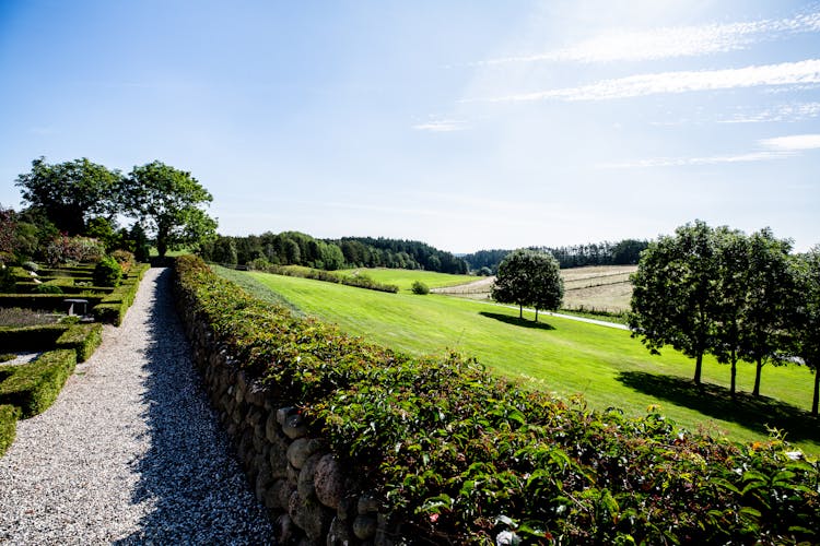 Path In Beautiful Green Garden