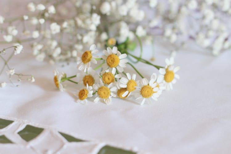 Wildflowers Bouquet On White Table Background