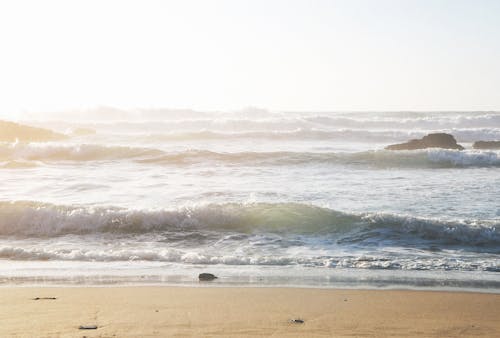 Free Ilmainen kuvapankkikuva tunnisteilla aallot, aalto, auringonlasku Stock Photo